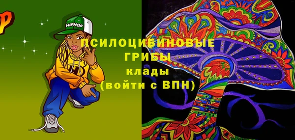 PSILOCYBIN Приозерск
