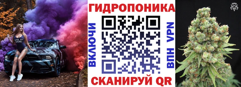 Каннабис план  Купить где  Югорск 